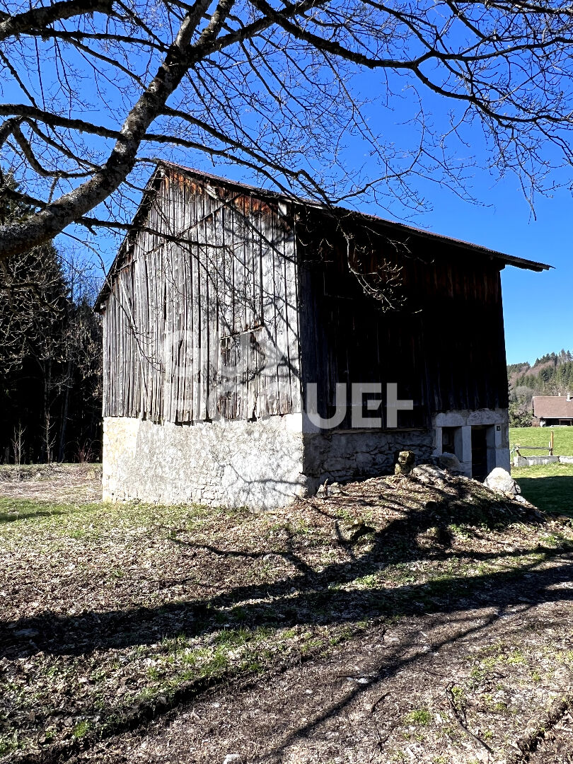 Ancien bâtiment d'alpage
