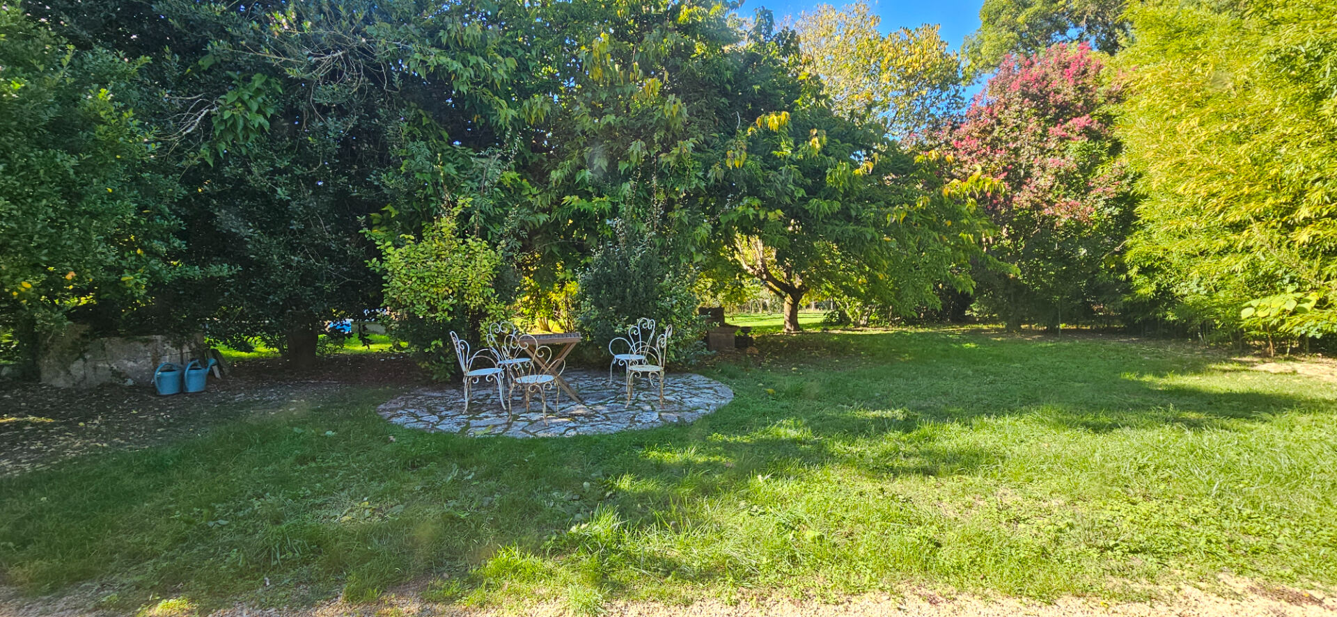 Grand Domaine 9 pièce(s) Saint-Dyzant-du-Gua 17240