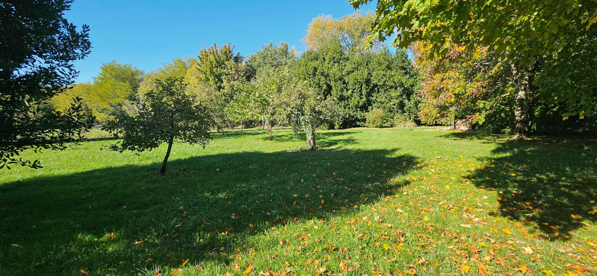 Grand Domaine 9 pièce(s) Saint-Dyzant-du-Gua 17240