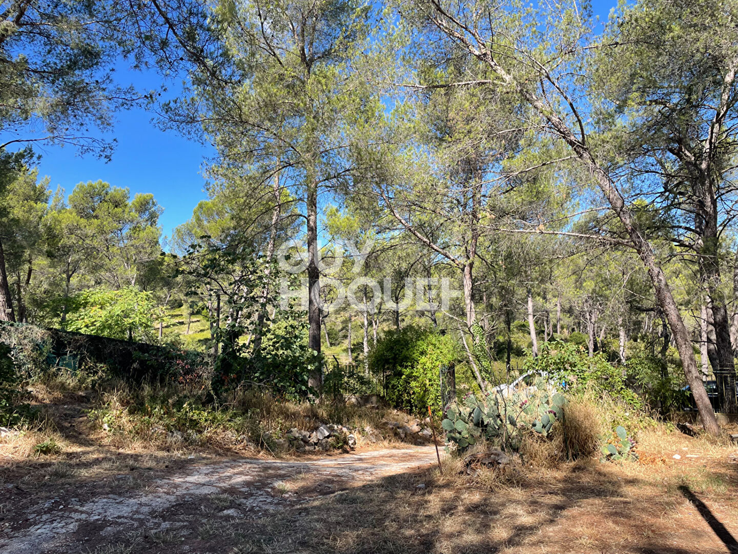 Terrain d'environ 400 m² à CABRIES, environnement boisé et calme