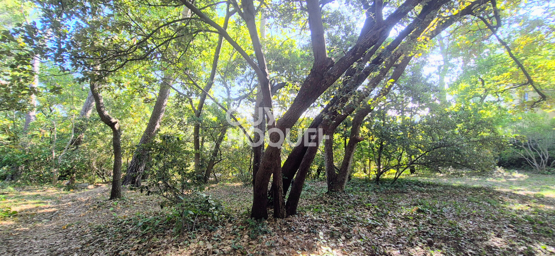 Maison Bouc Bel Air 7 pièces 178 m2 env sur une parcelle de 2068 m2.