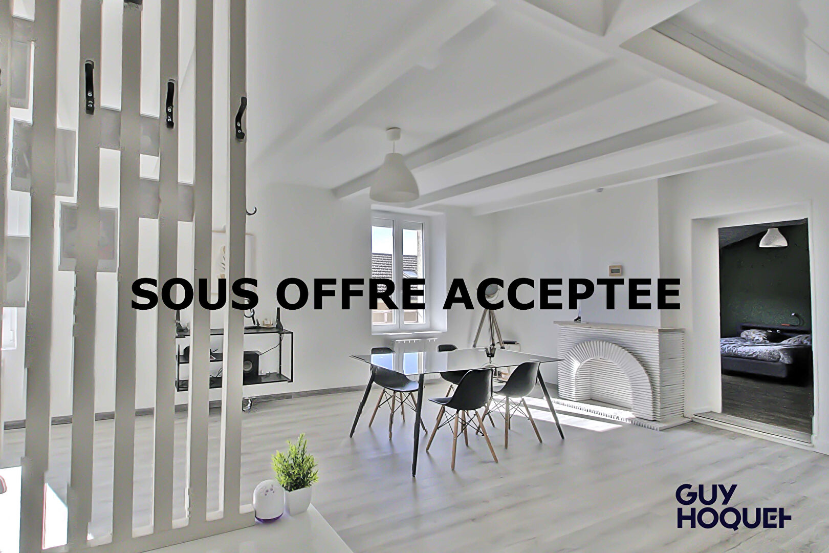 Appartement Pont D Ain 4 pièce(s) 94 m2 avec annexes