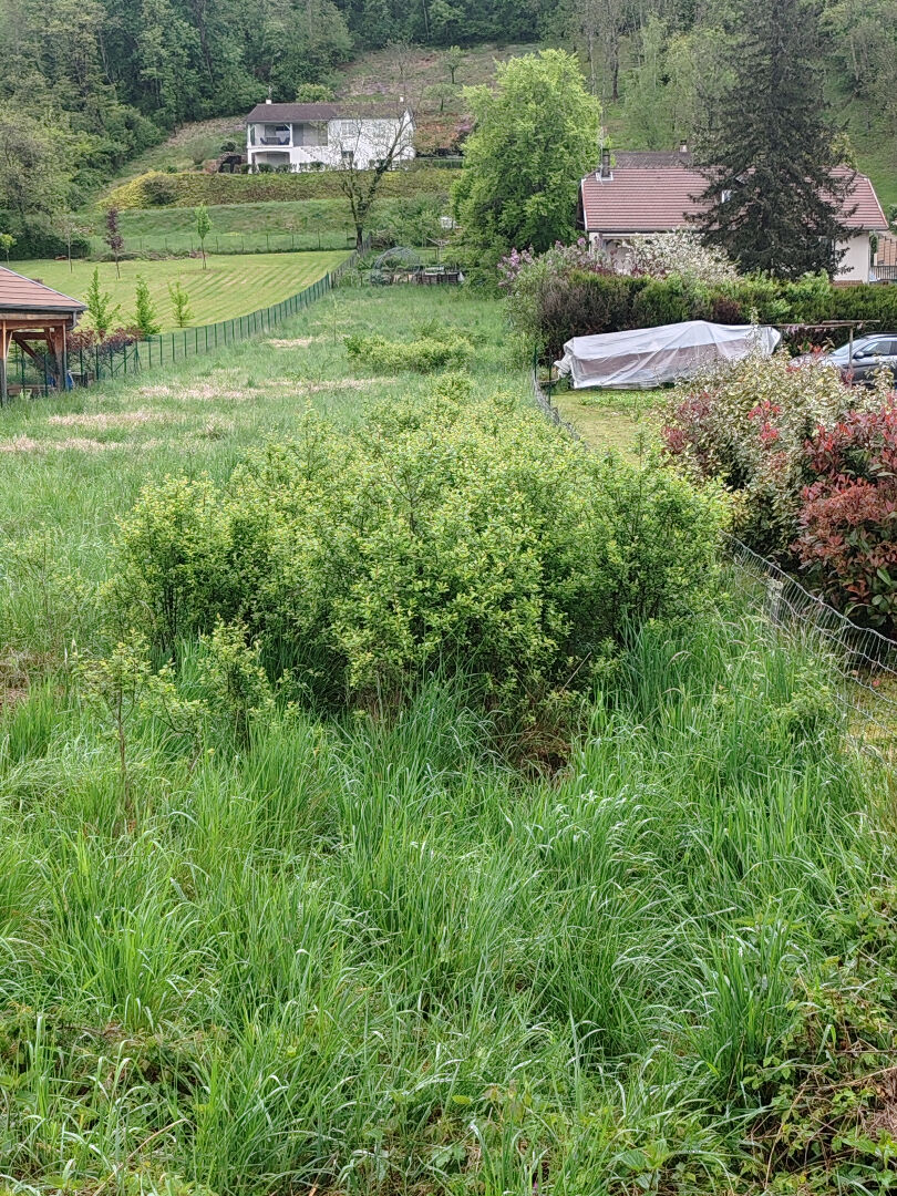 Terrain Poncin 1207 m2