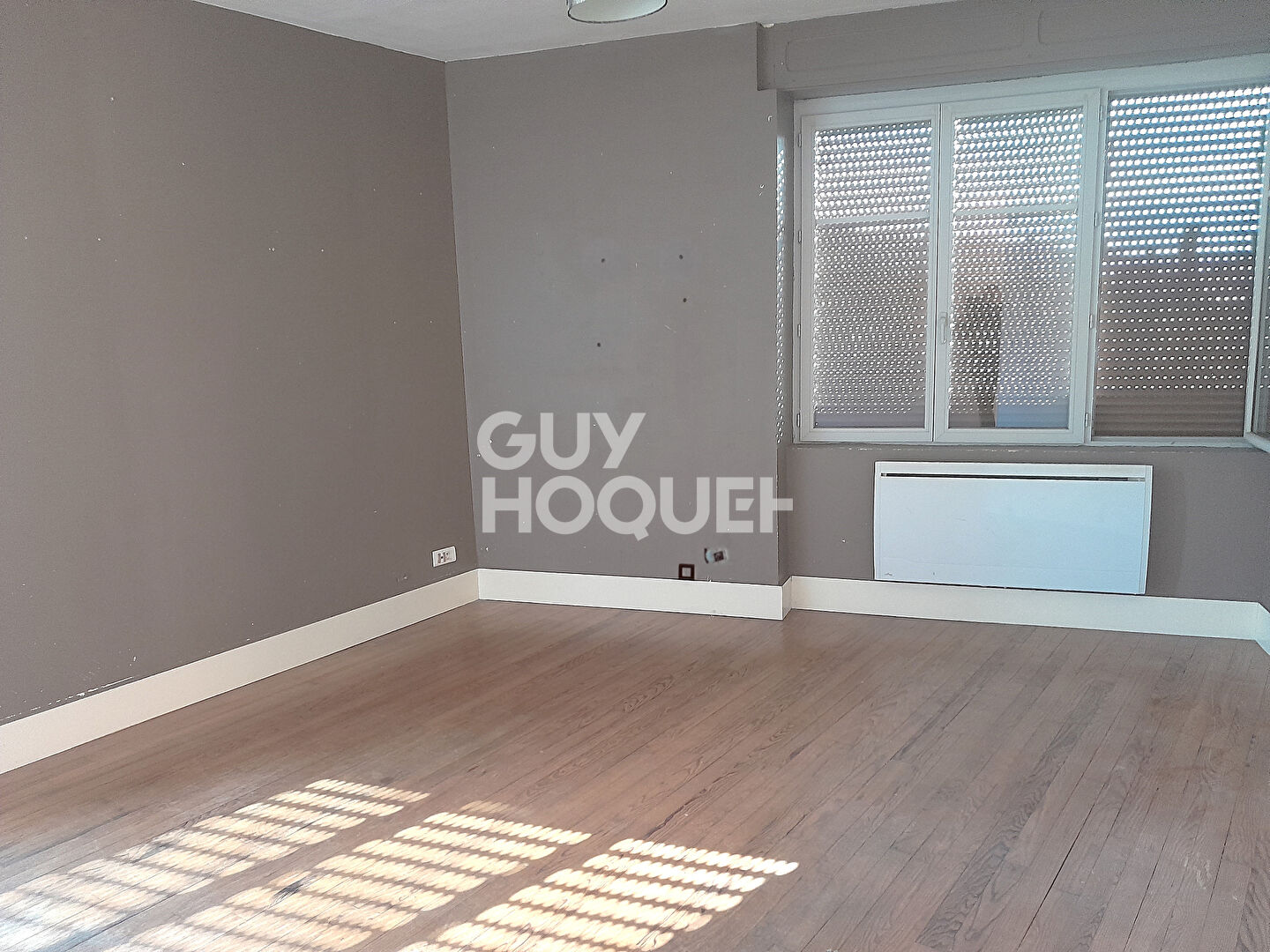 Appartement Chavannes Sur Suran 4 pièce(s) 100 m2 terrasse de 38 m²