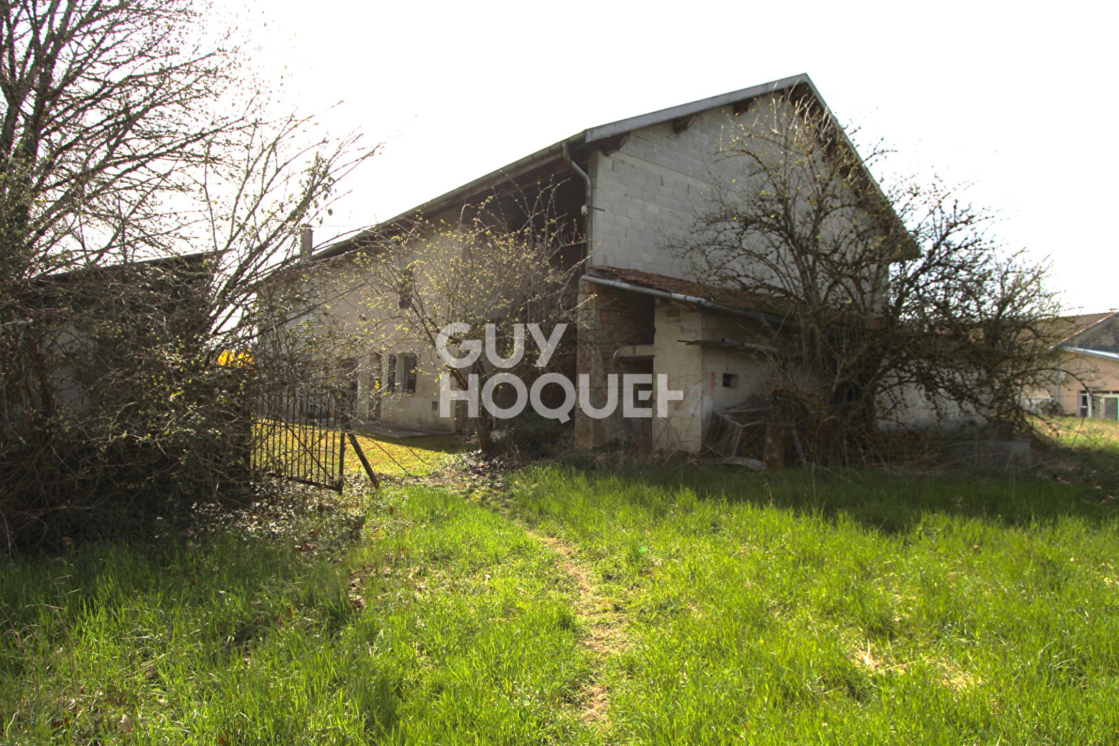Deux grandes maisons mitoyennes