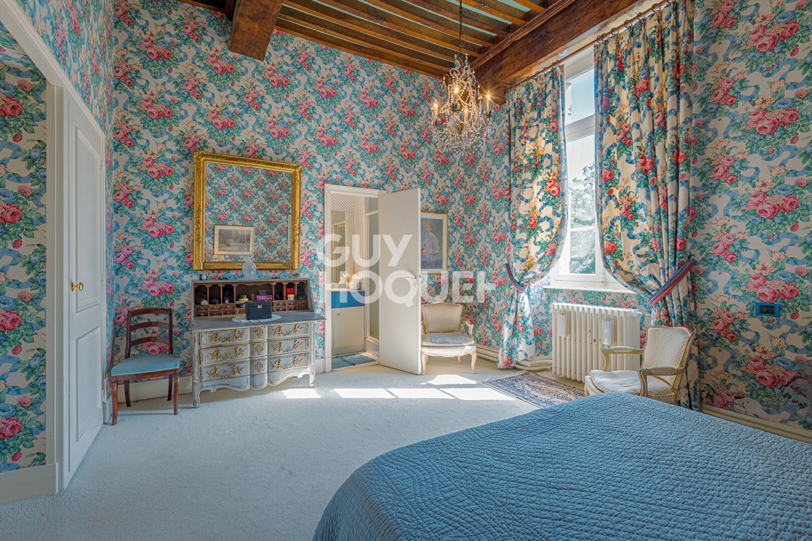 Demeure de Prestige à Bourg en Bresse- Un Bijou Historique à Saisir !