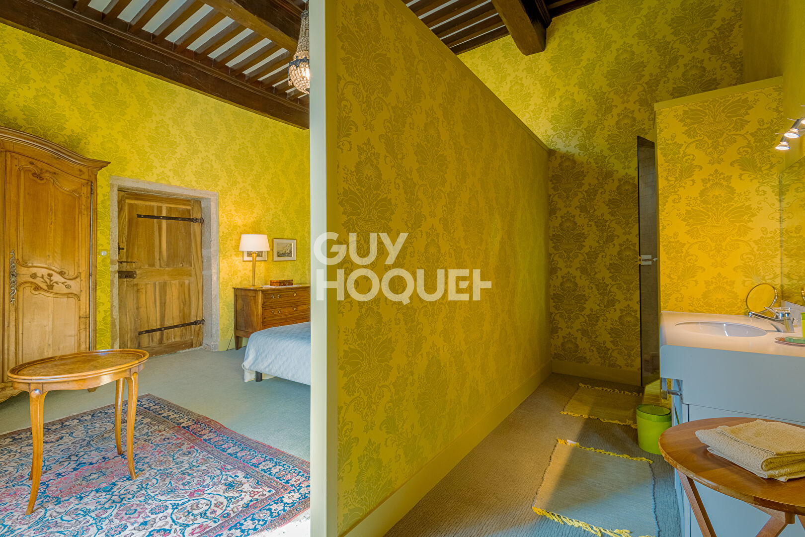 Demeure de Prestige à Bourg en Bresse- Un Bijou Historique à Saisir !