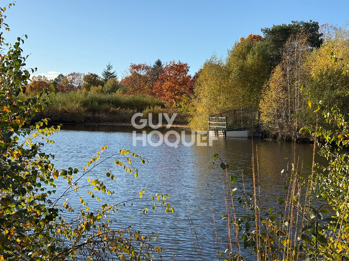 PROPRIÉTÉ DE SOLOGNE