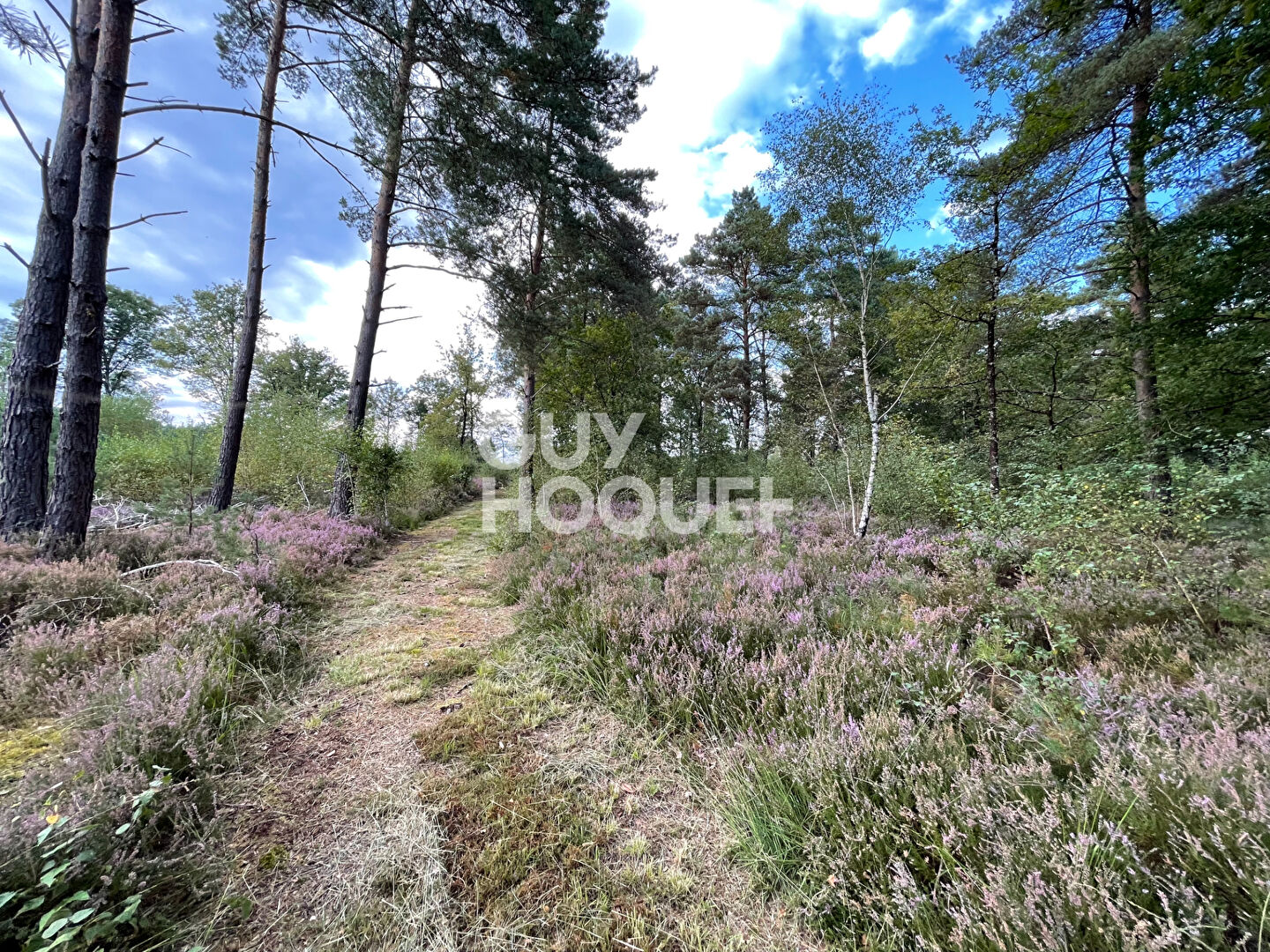 PROPRIÉTÉ DE SOLOGNE