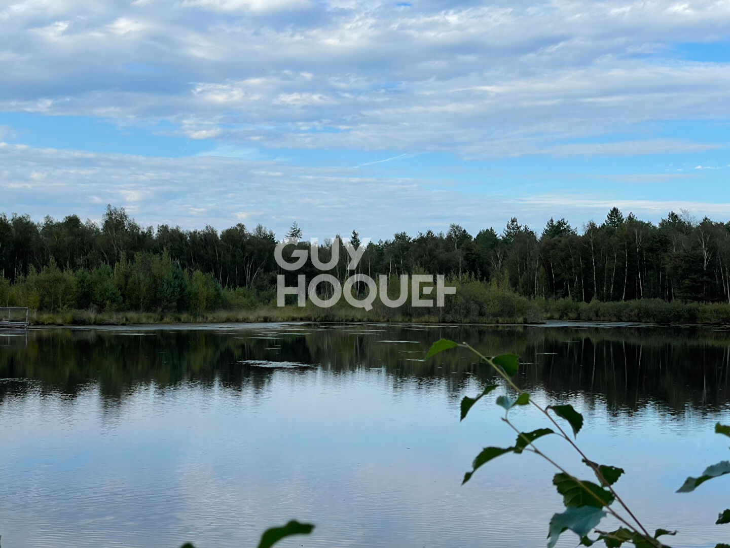 PROPRIÉTÉ DE SOLOGNE