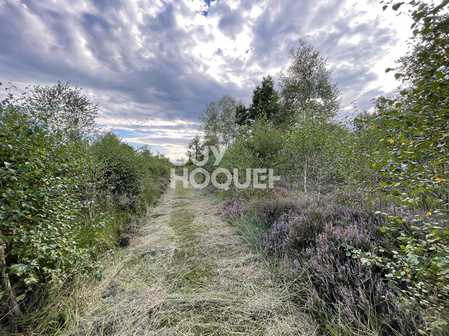 PROPRIÉTÉ DE SOLOGNE