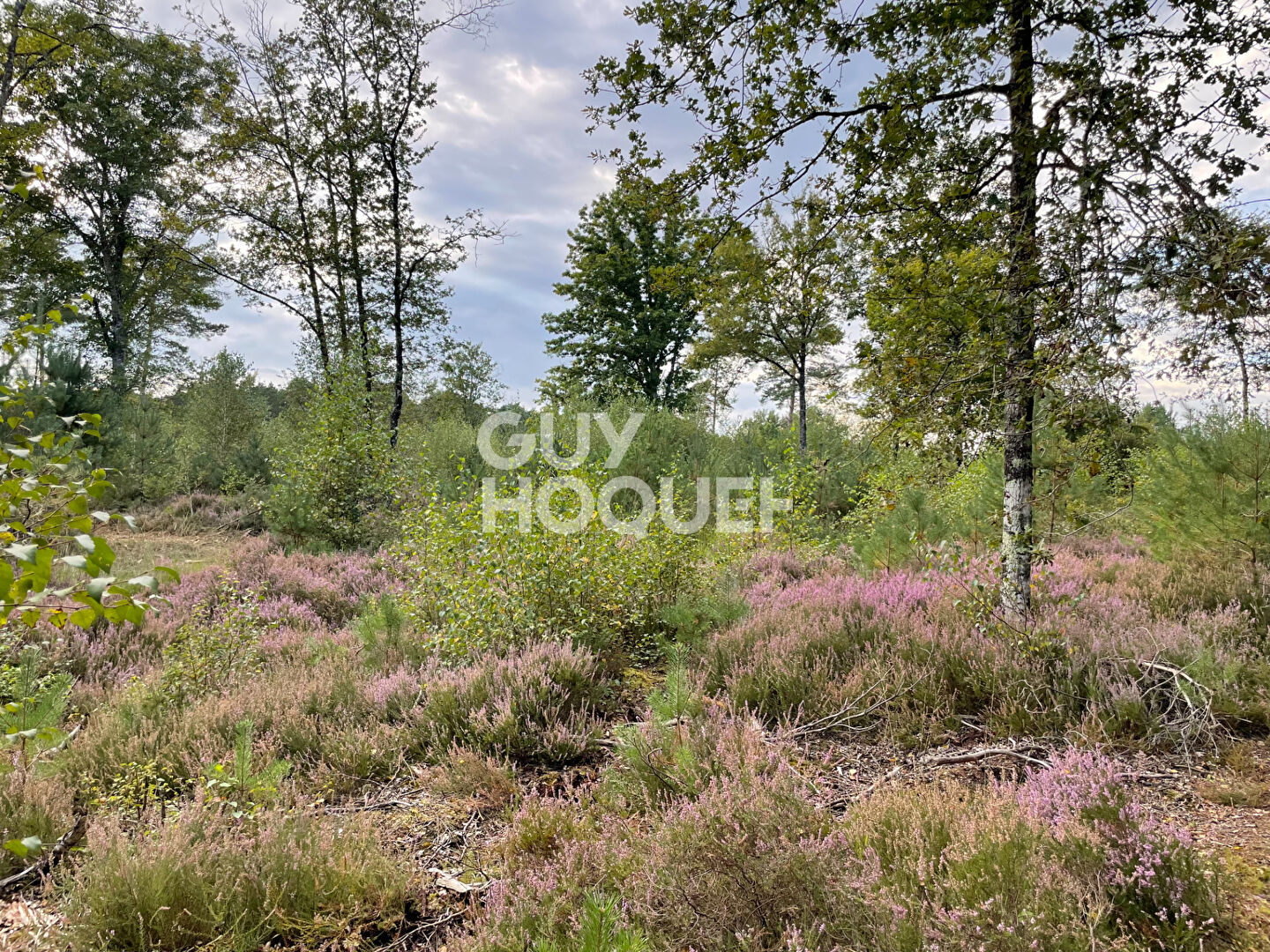 PROPRIÉTÉ DE SOLOGNE