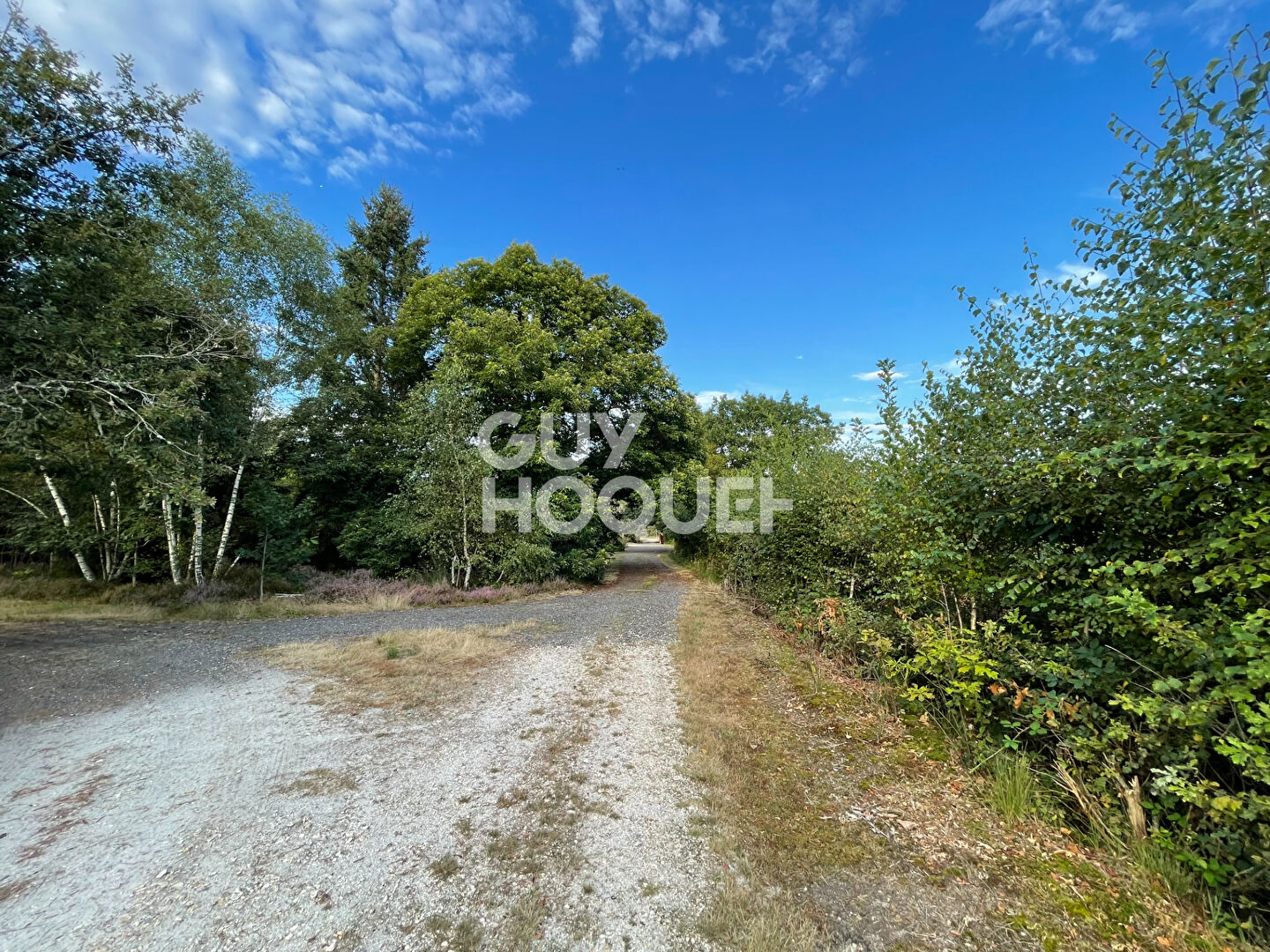 PROPRIÉTÉ DE SOLOGNE