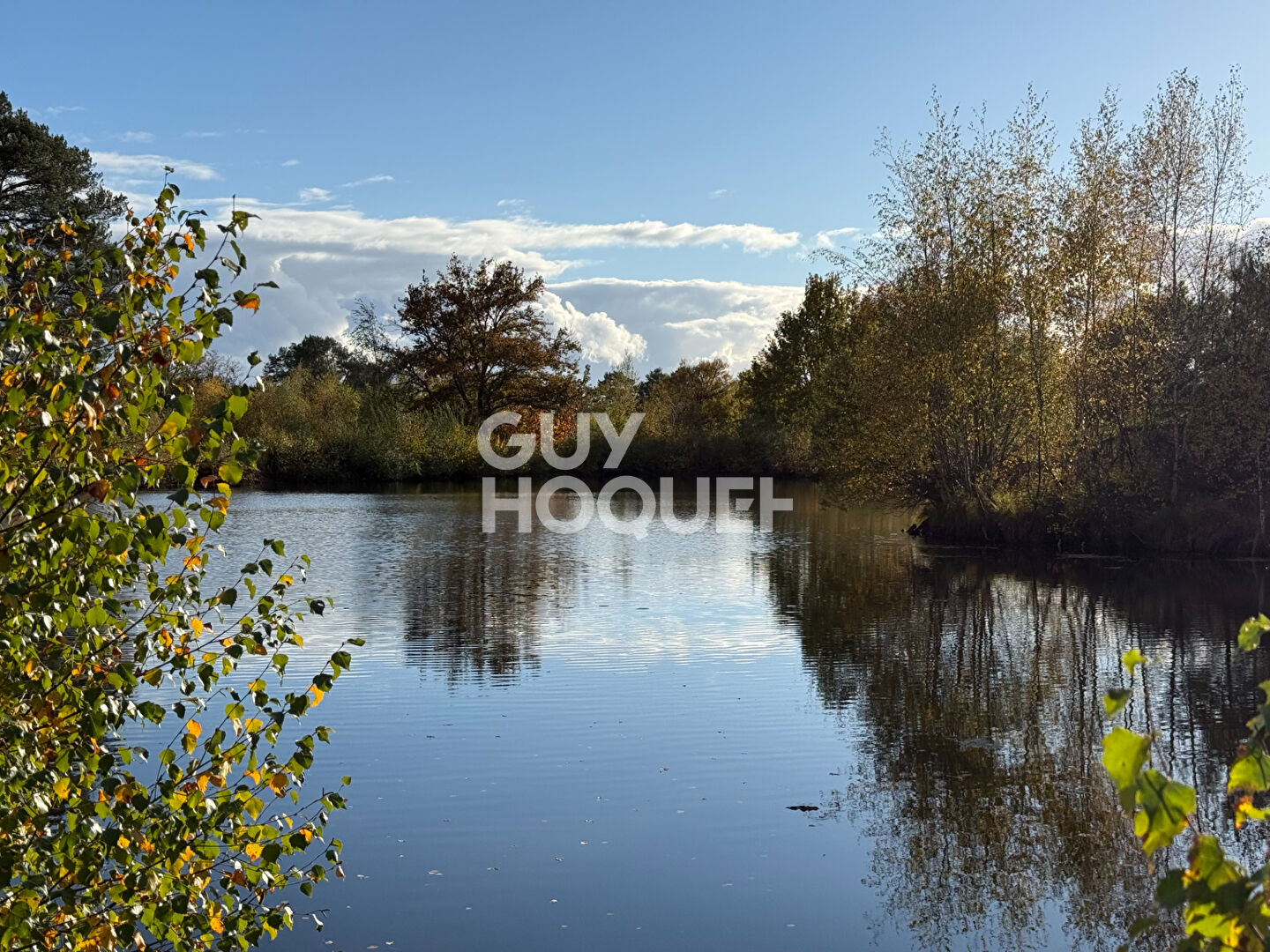 PROPRIÉTÉ DE SOLOGNE