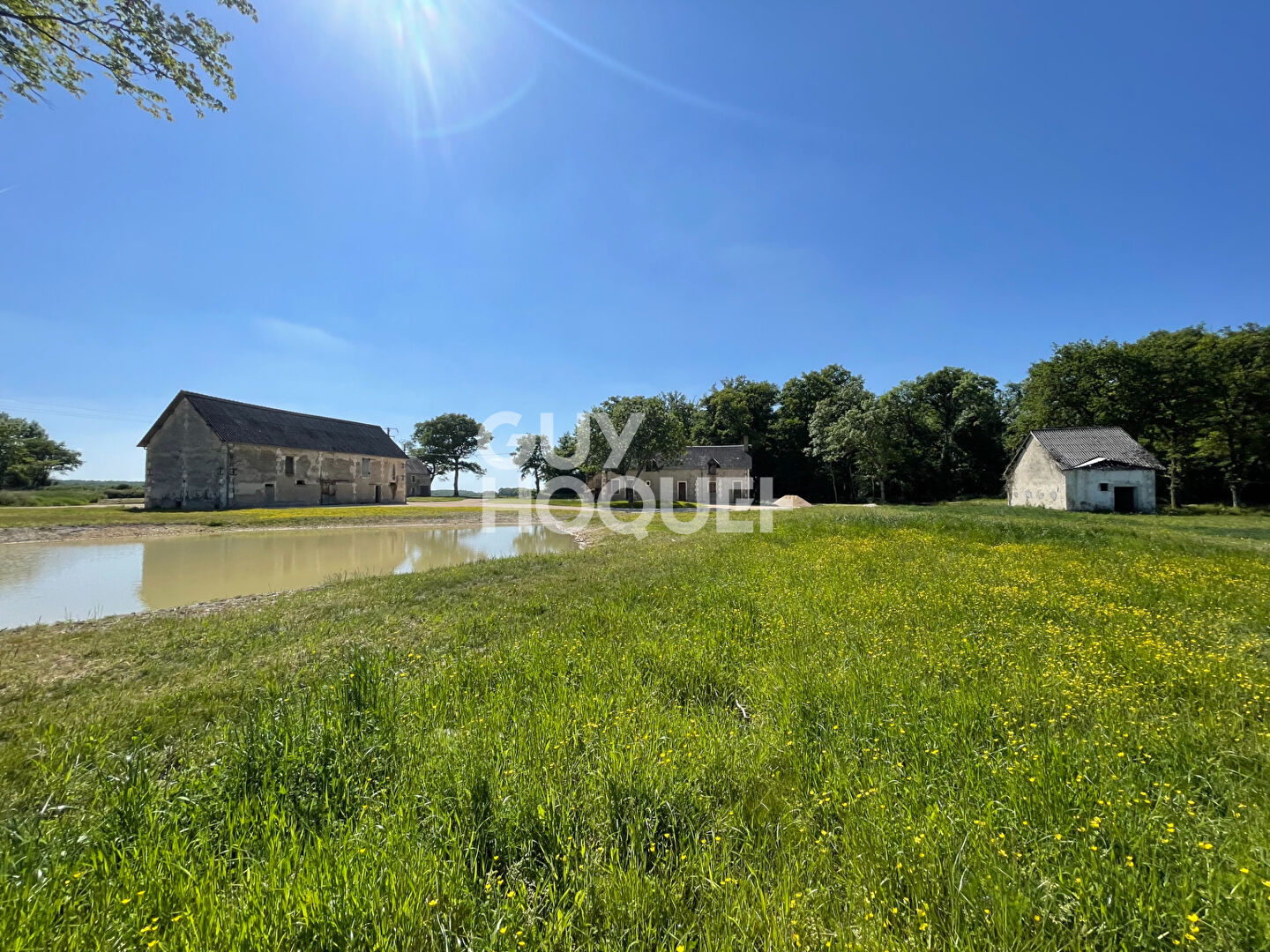 SOLOGNE DU CHER : PRESLY