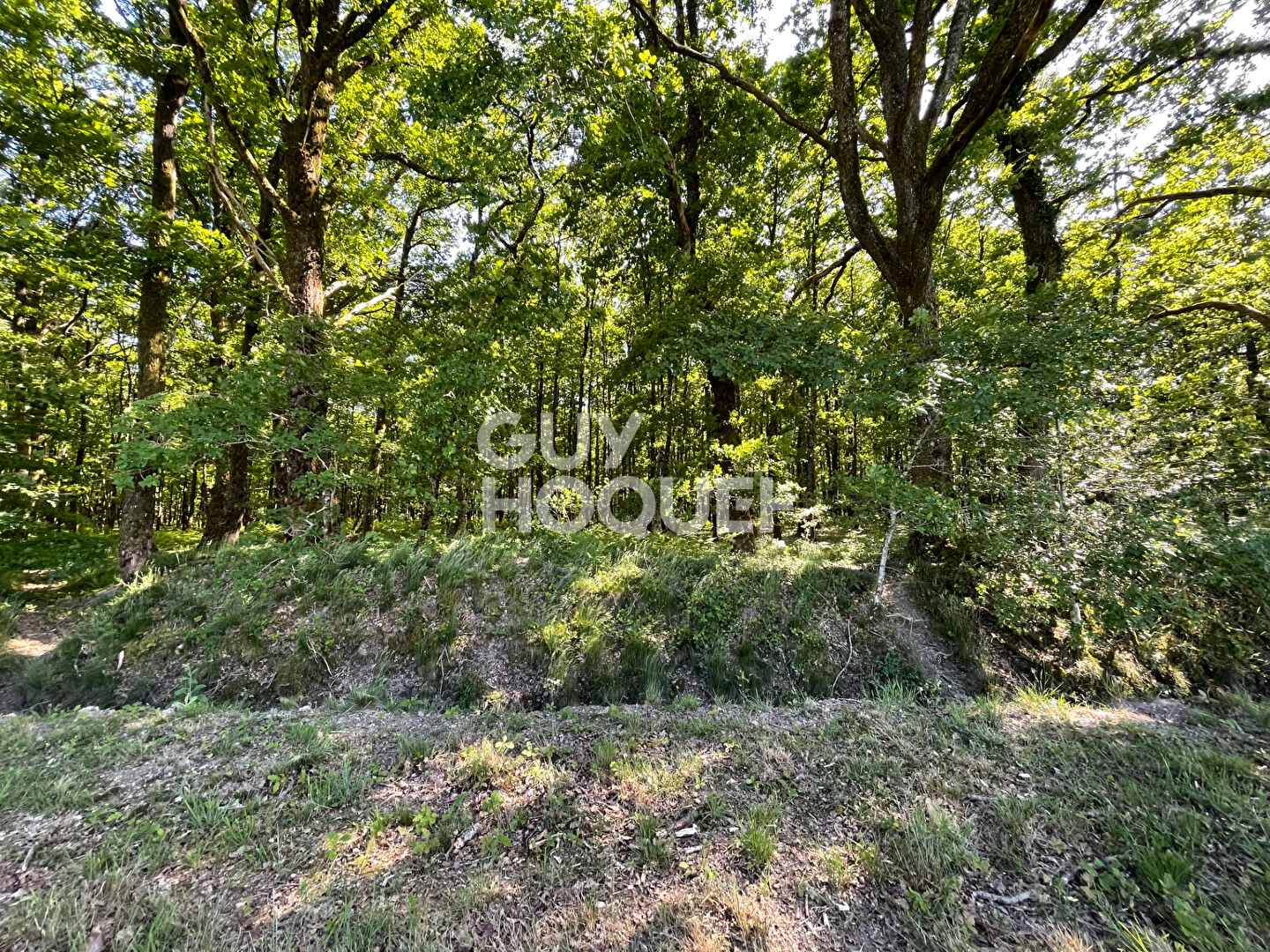 SOLOGNE DU CHER : PRESLY