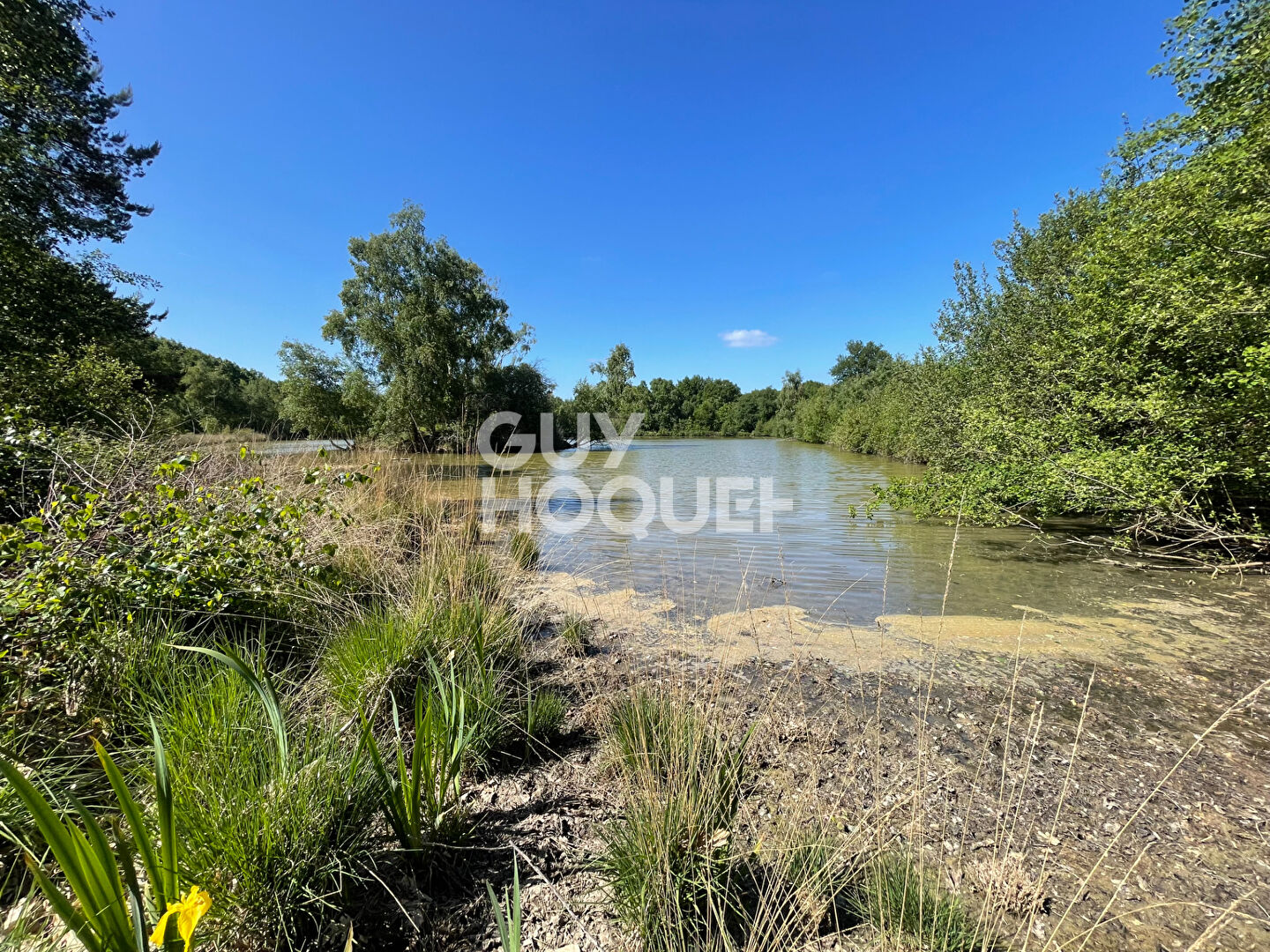 SOLOGNE DU CHER : PRESLY