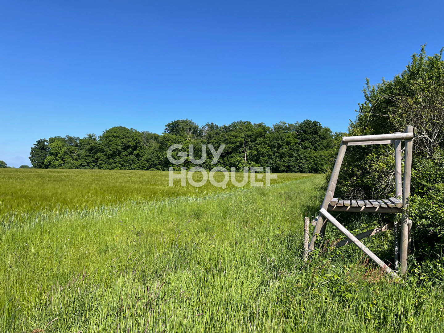 SOLOGNE DU CHER : PRESLY