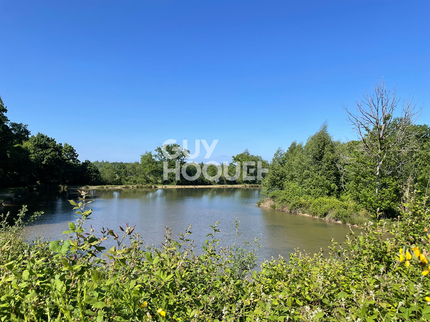 SOLOGNE DU CHER : PRESLY