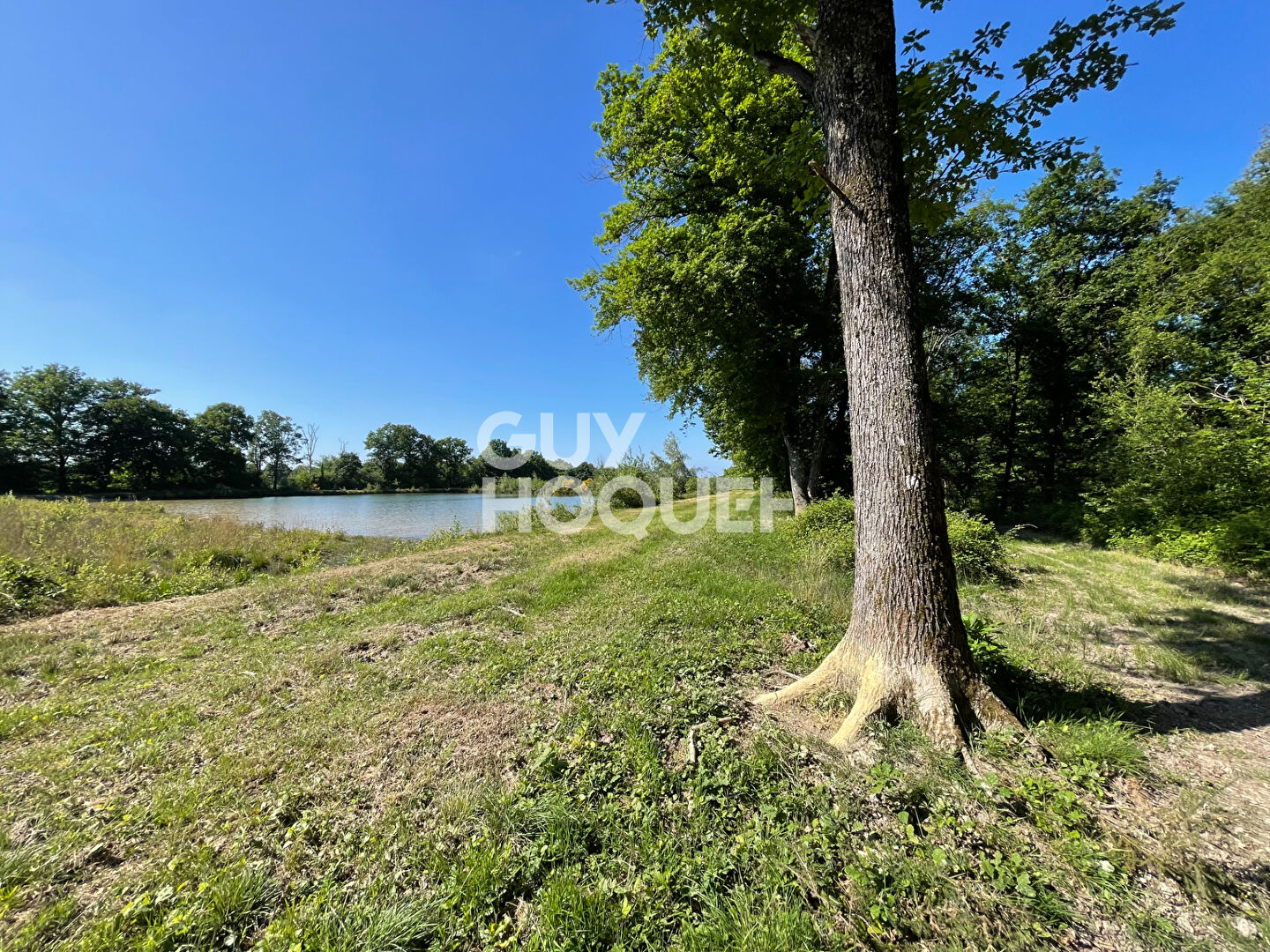 SOLOGNE DU CHER : PRESLY