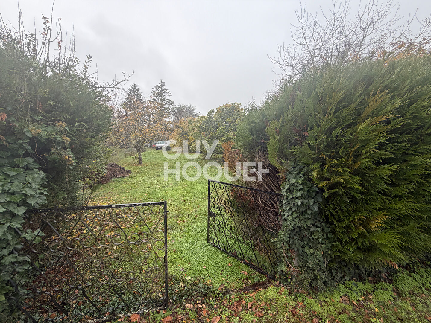 EXCLUSIVITÉ - TROUY NORD