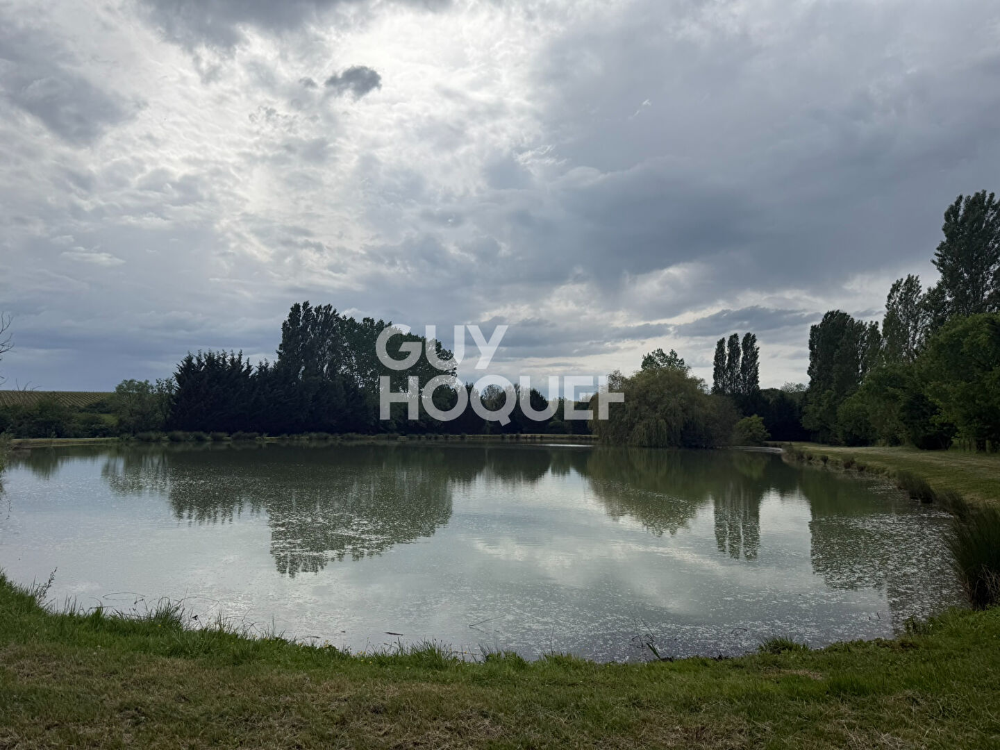 EXCLUSIVITÉ - ETANGS