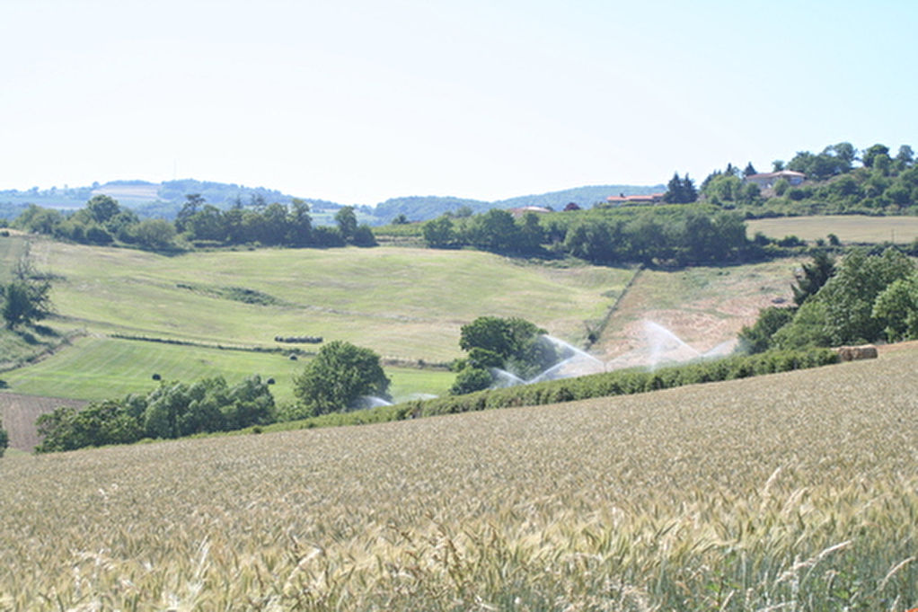 Terrain Vaugneray 419m2