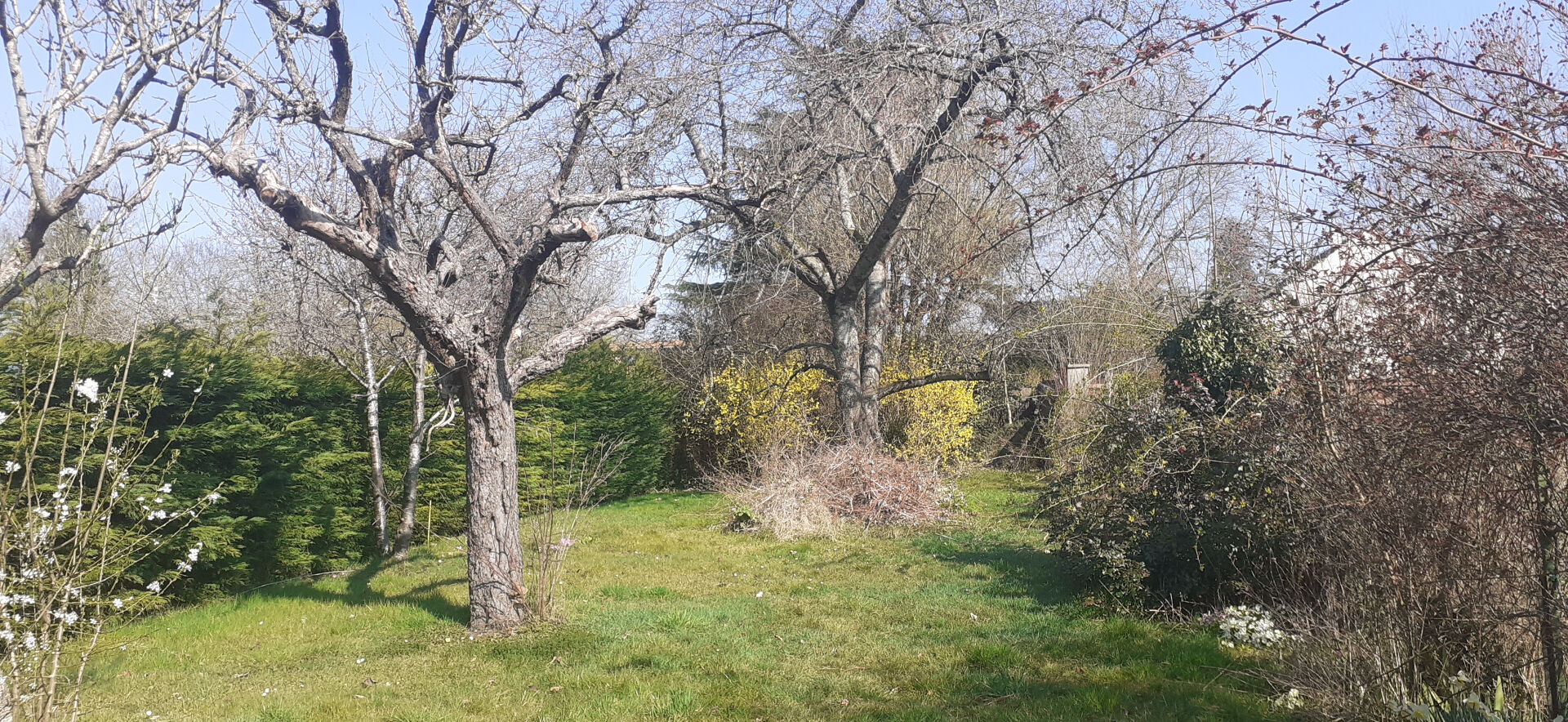 Terrain constructible de 891 m² à Boussy Saint Antoine 