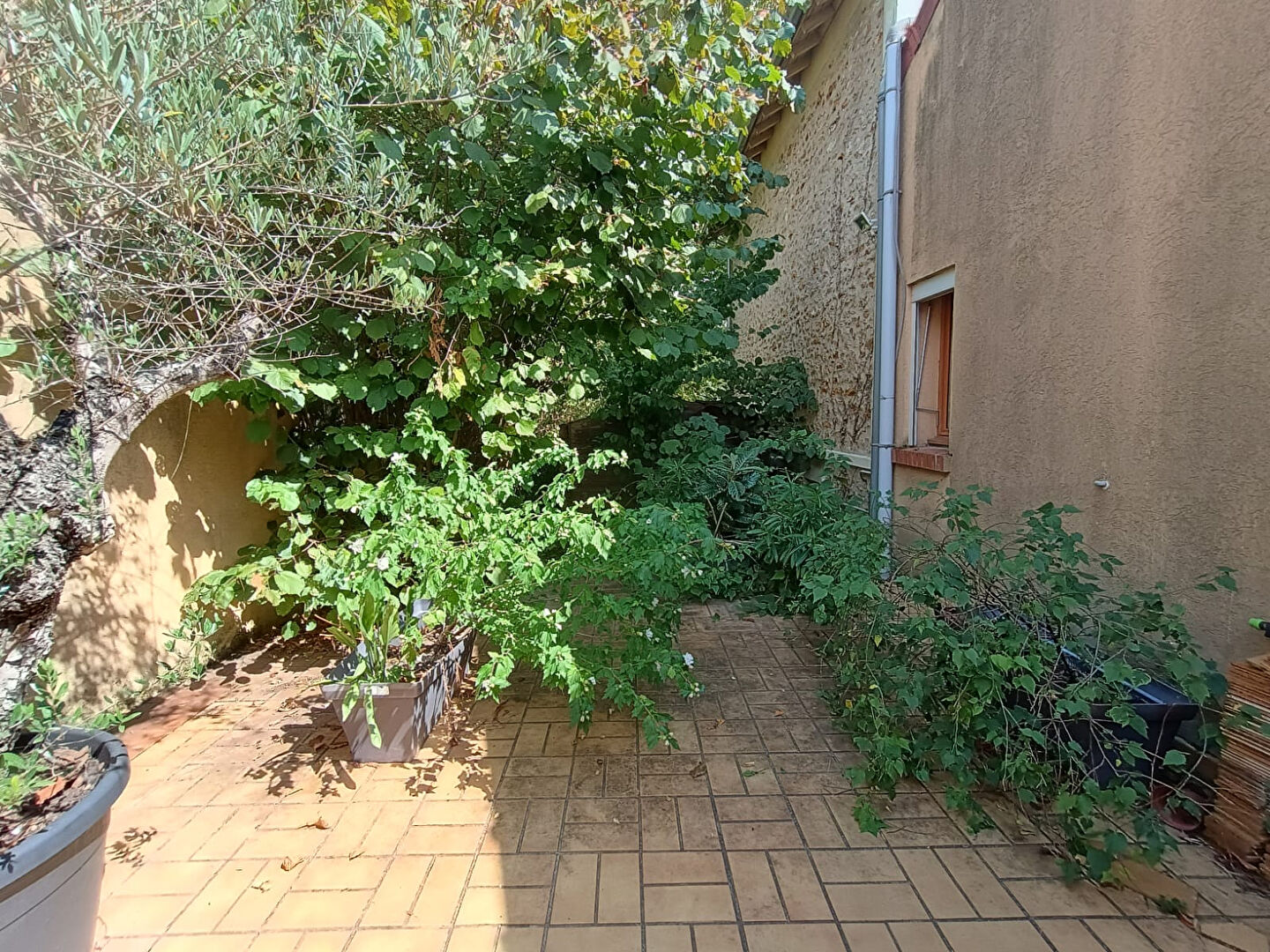 Belle maison meulière 6 pièces de 169m²