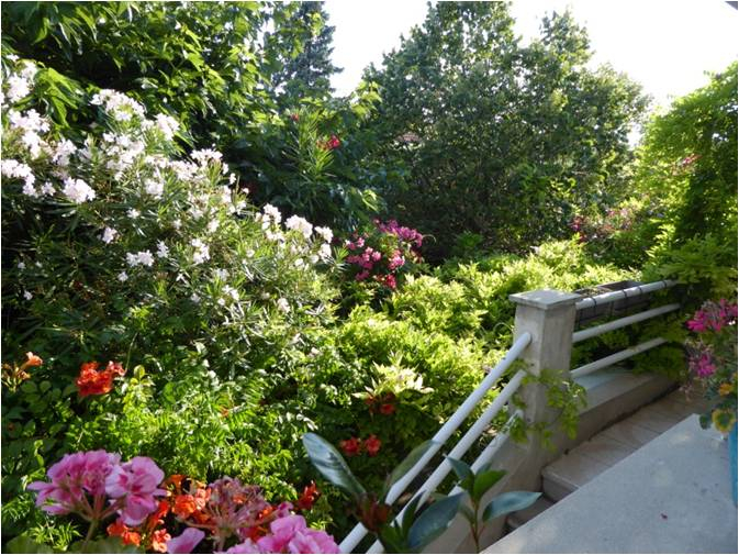 Maison de 115 m², joli jardin arboré