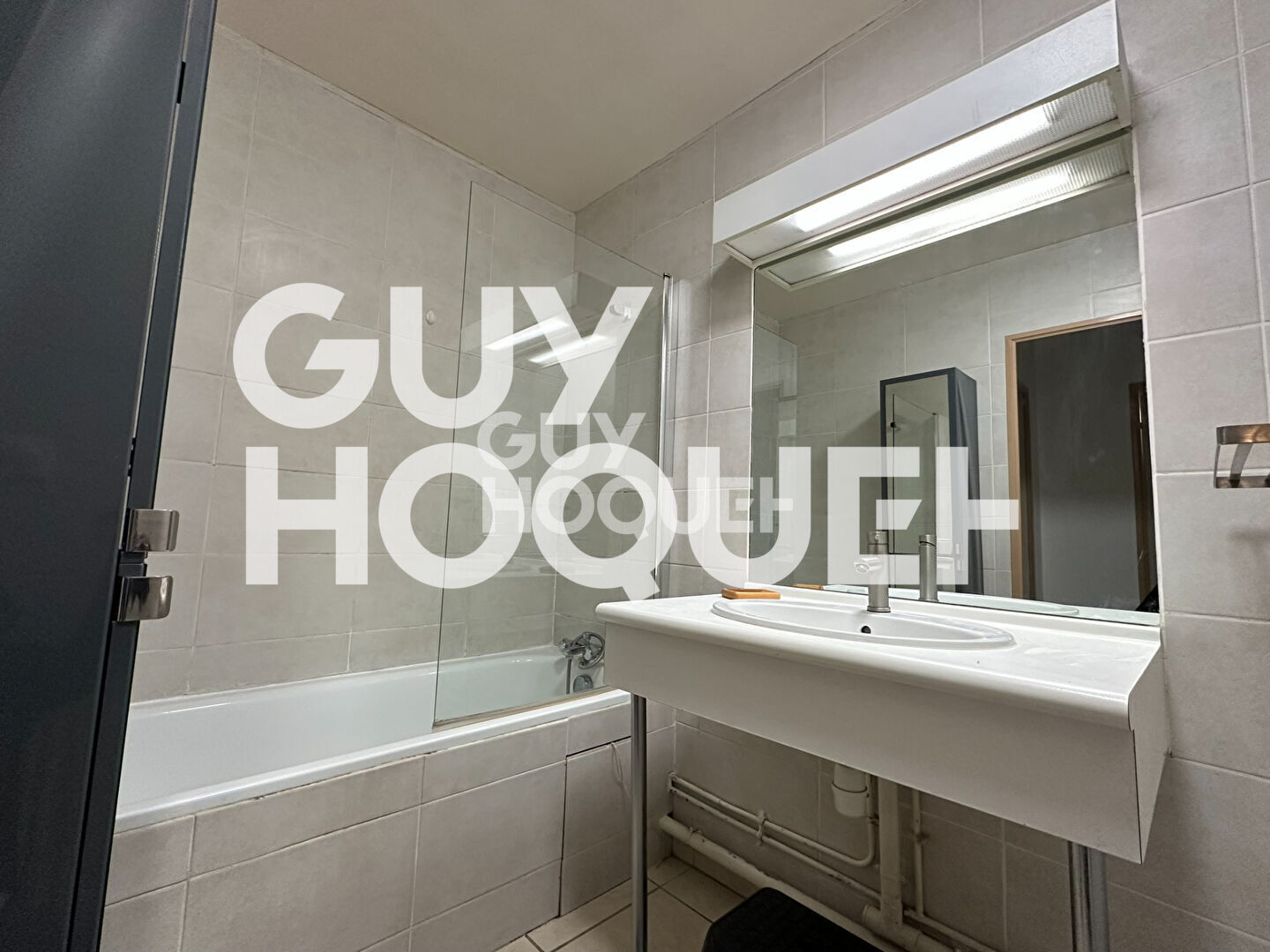 grand 2 pièces meublé  - centre ville