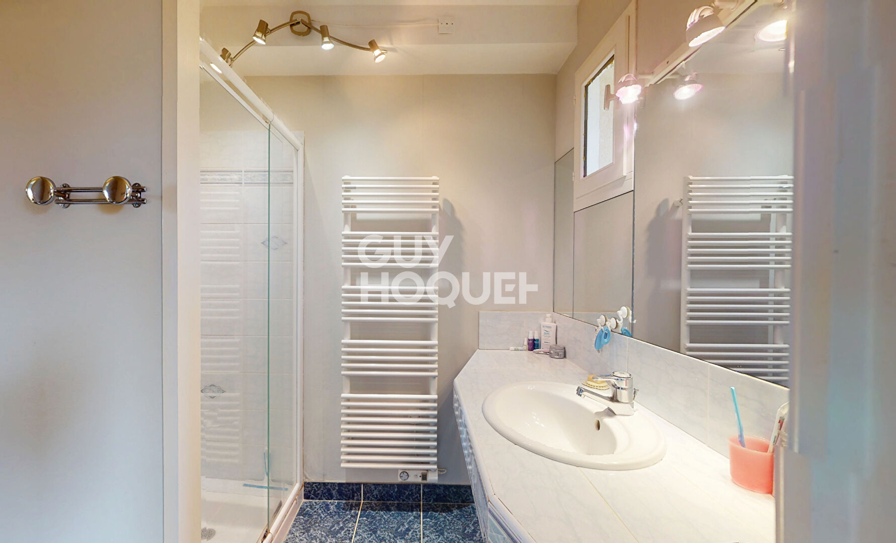 Maison Cambes En Plaine 6 pièce(s) 165 m2