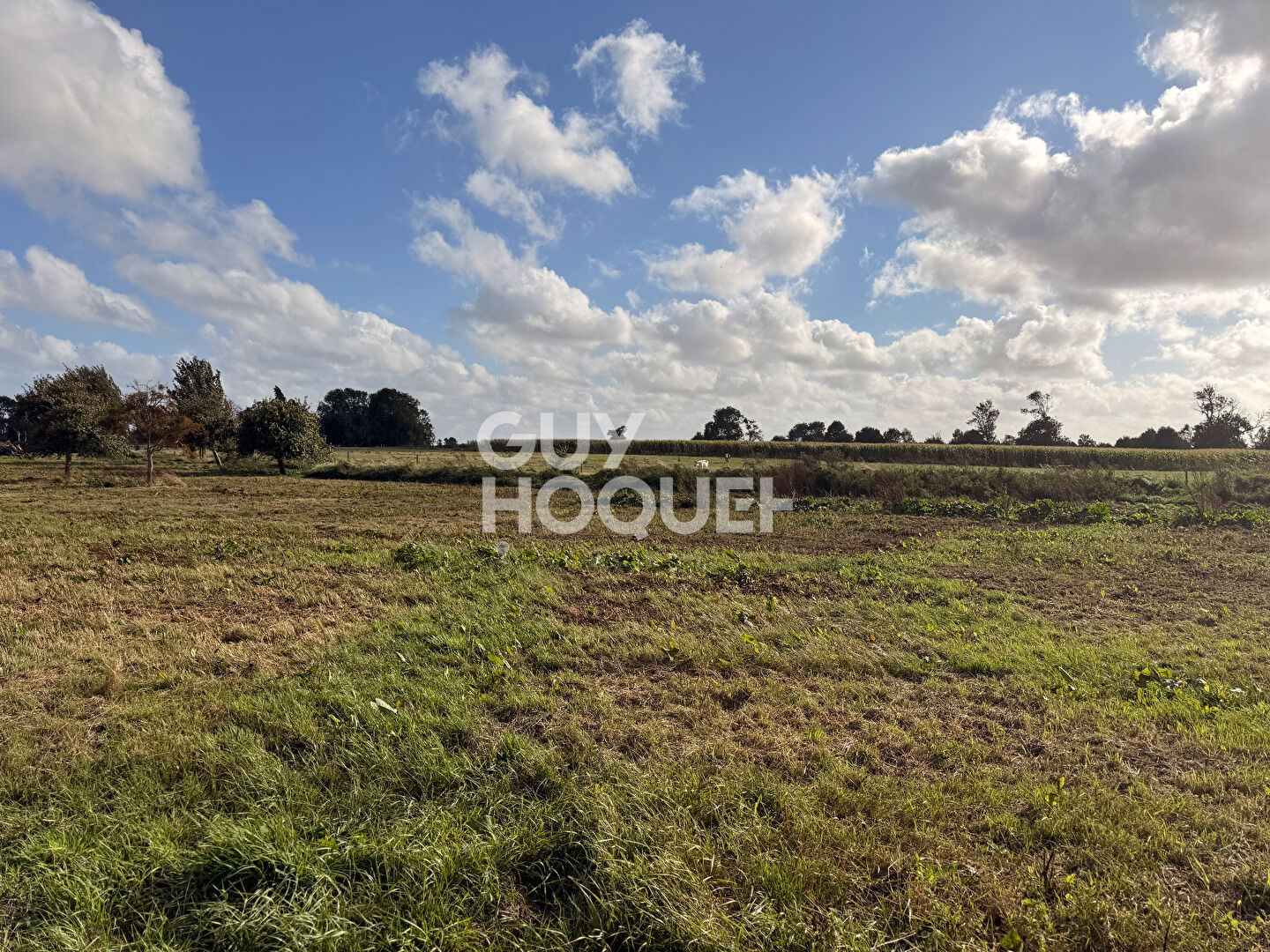 Terrain Sainte Croix Sur Mer 891 m2