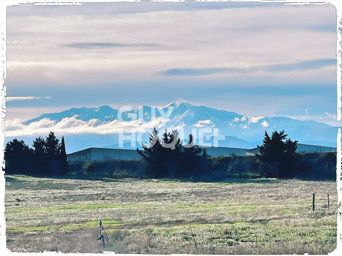 Ponteilla, propriété 4 faces, 150 m² habitables sur parcelle 30 000m²