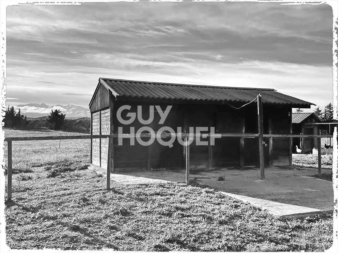 Ponteilla, propriété 4 faces, 150 m² habitables sur parcelle 30 000m²