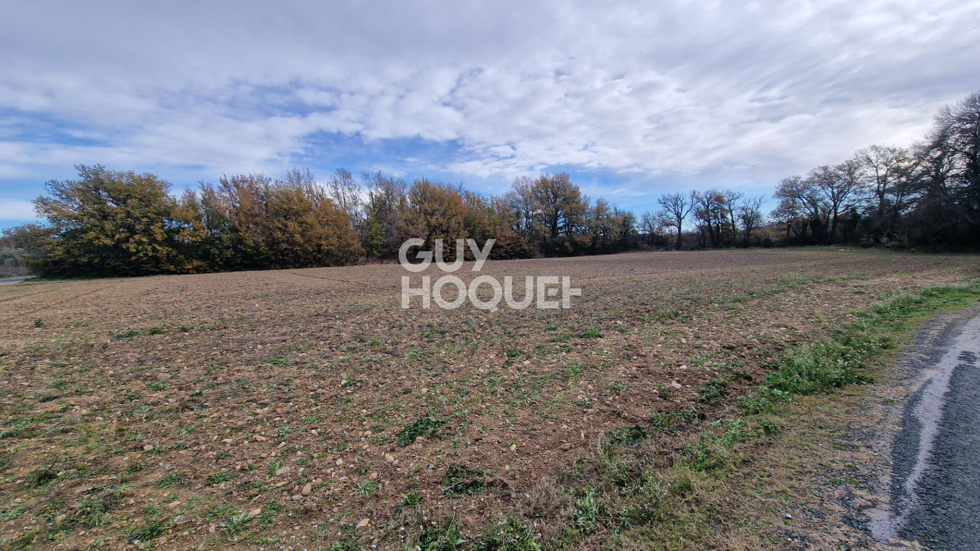 EXCLUSIVITE - Terrain agricole arboré de 7977 m2 Toulouges