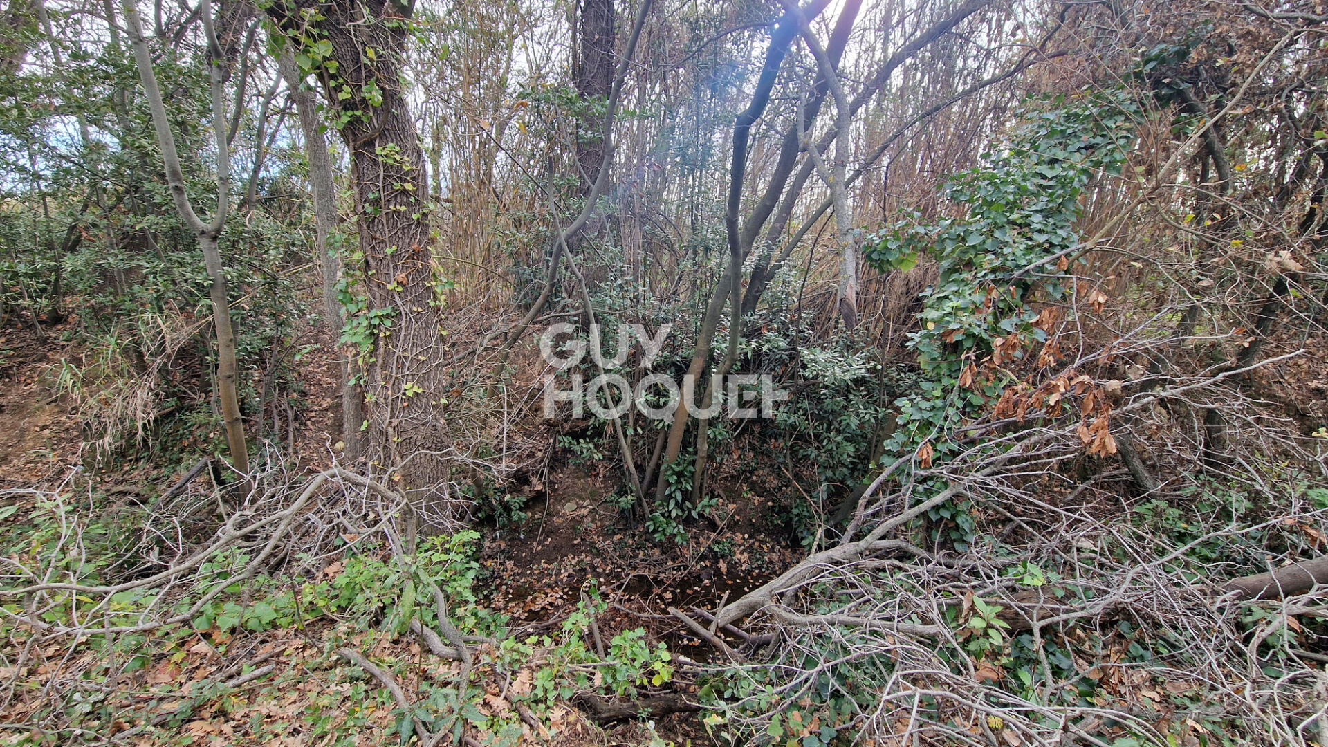 EXCLUSIVITE - Terrain agricole arboré de 7977 m2 Toulouges