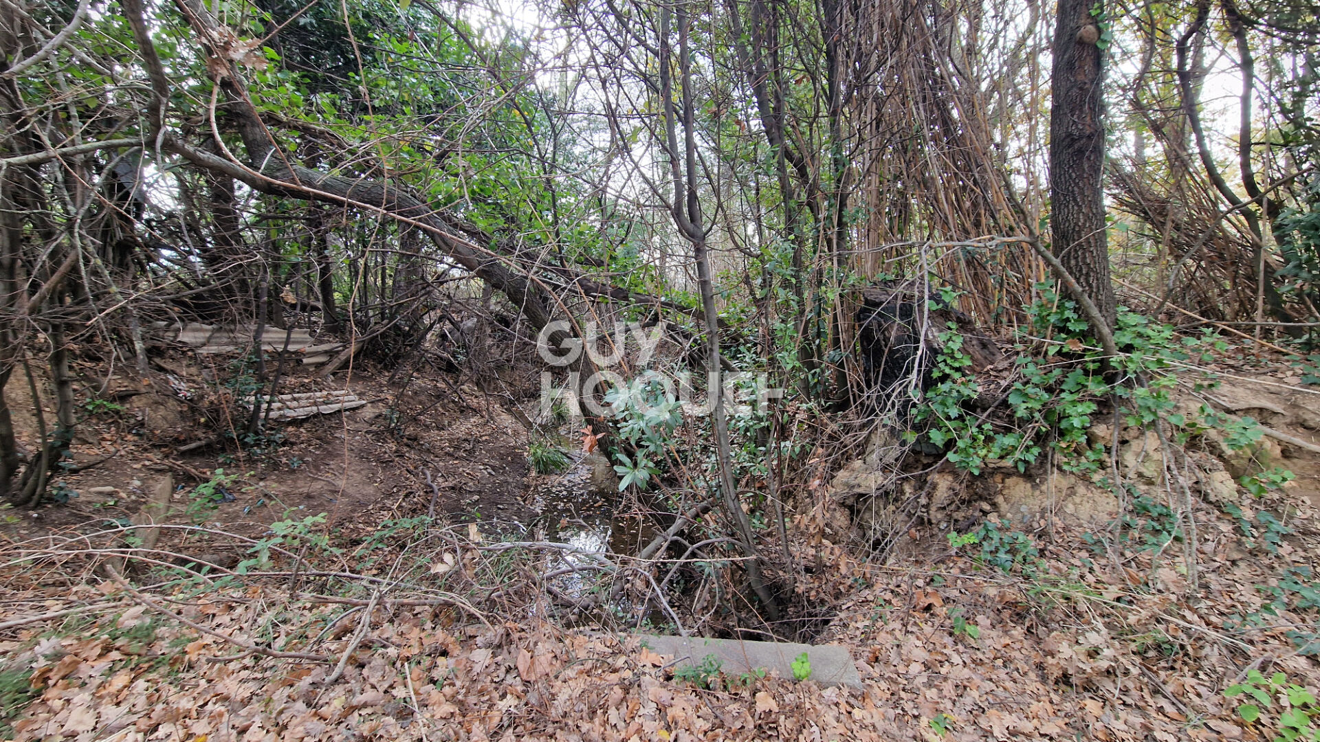 EXCLUSIVITE - Terrain agricole arboré de 7977 m2 Toulouges