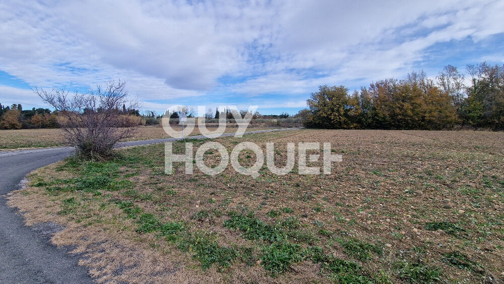 EXCLUSIVITE - Terrain agricole arboré de 7977 m2 Toulouges