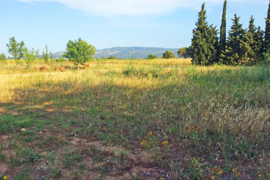 MARSEILLETTE terrain constructible de 1072m².