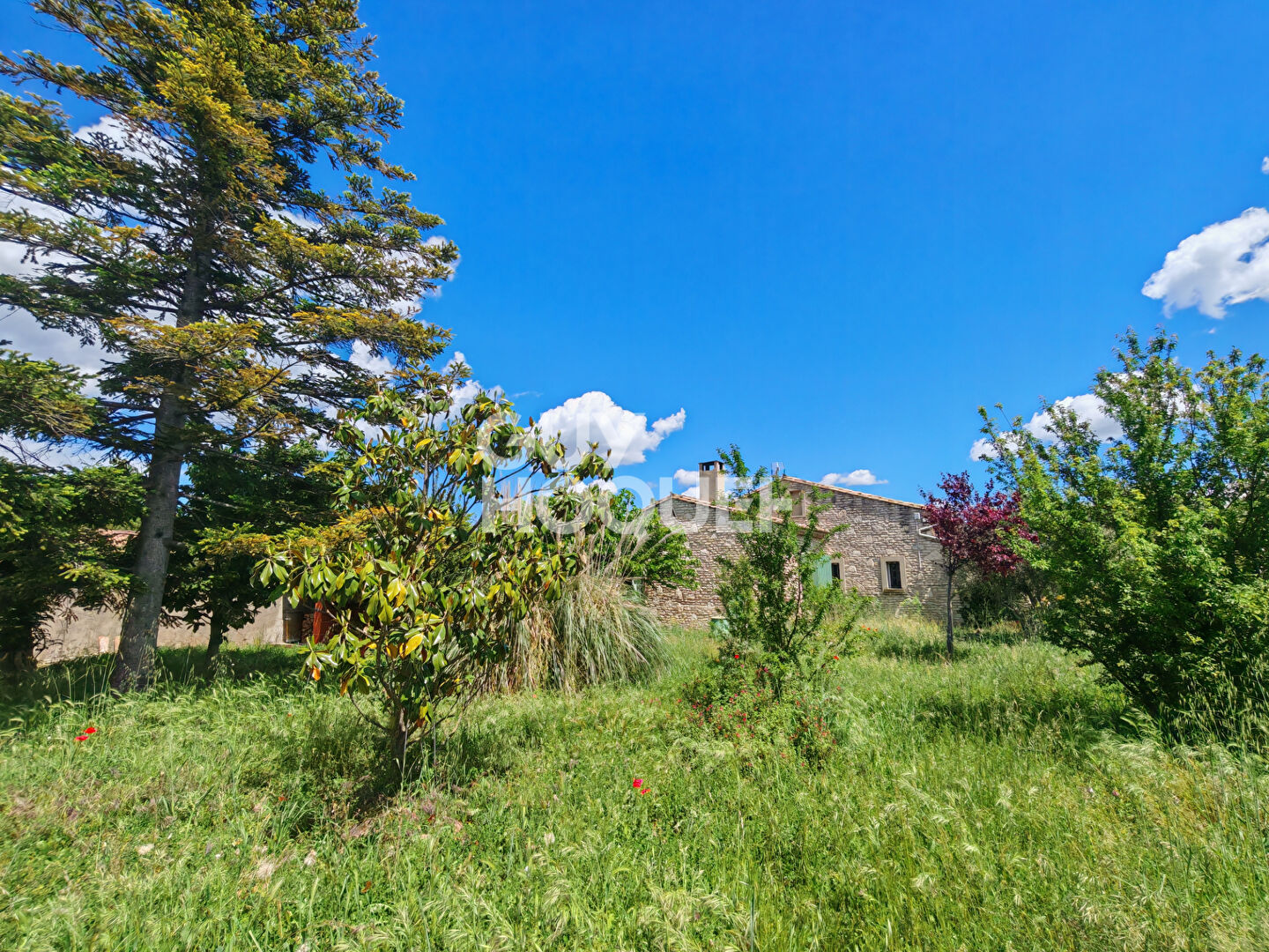 MOLLEGÈS - Maison de plain-pied avec grand jardin dans un secteur recherché