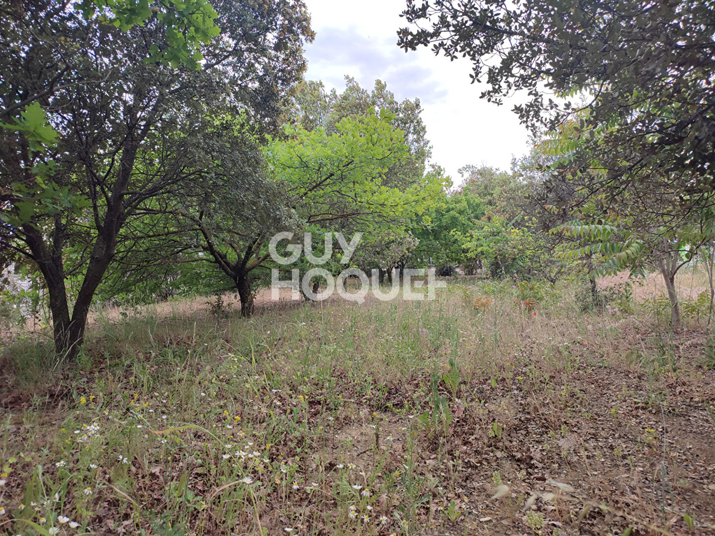 A Vendre Terrain Constructible de 470 m² sur CARPENTRAS