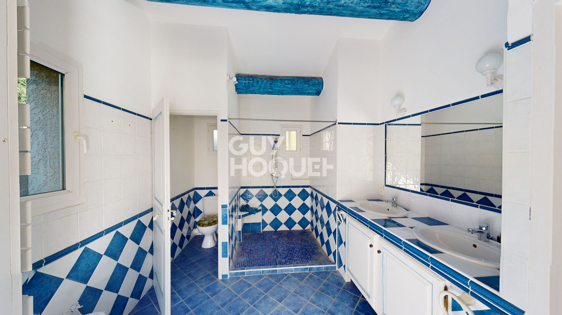 Propriété de charme - 305m² habitables - 5176m² de parc