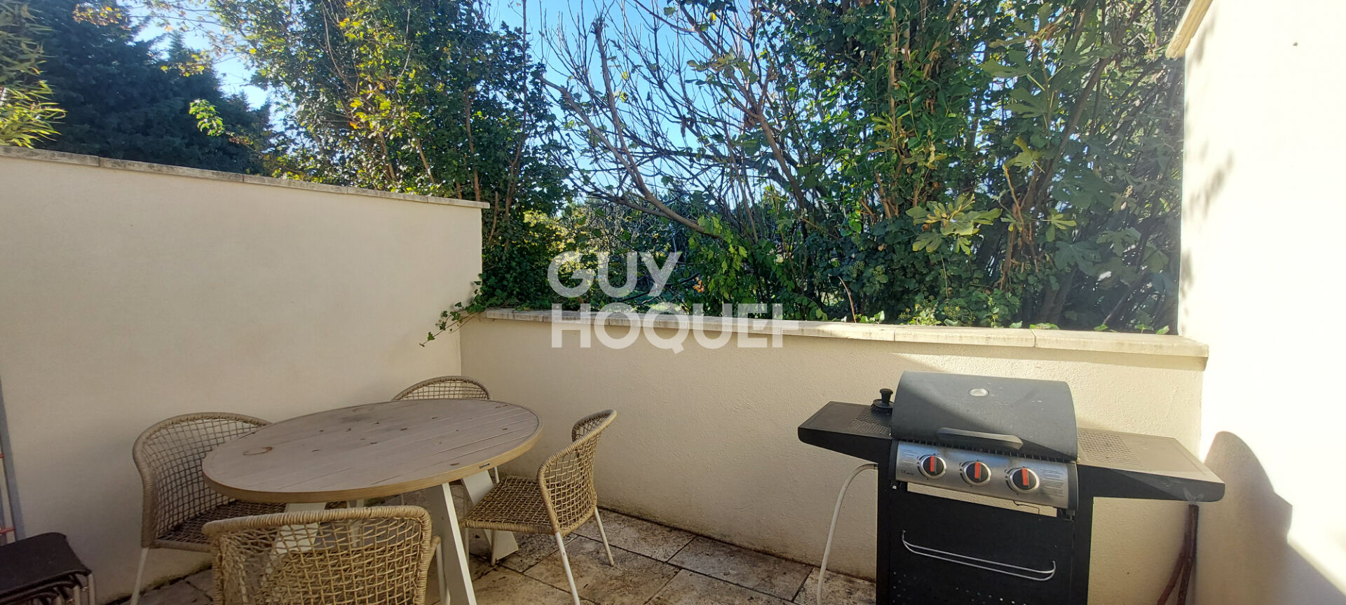 Petit Palais (Isle sur la Sorgue) - Maison de village type 5 de 129 m² - 3 chambres - Cour - 2 terrasses