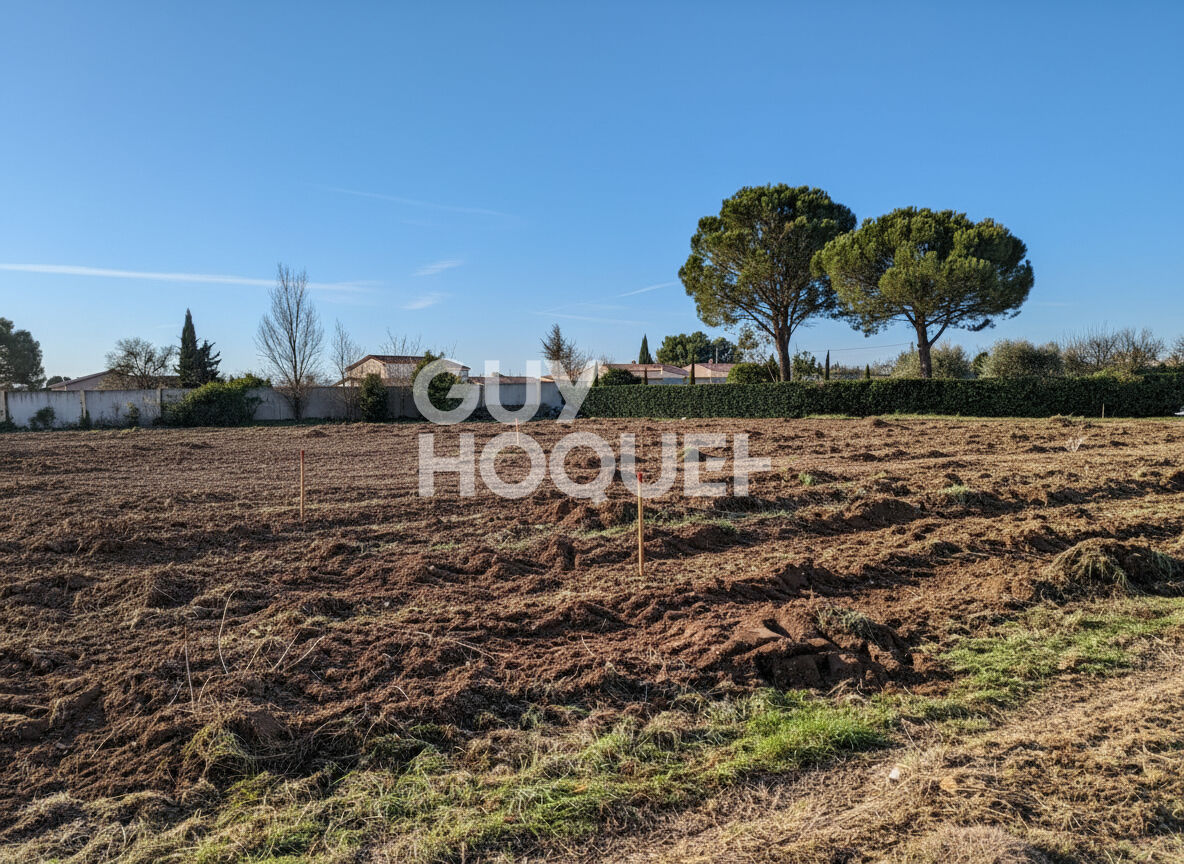 Terrain Carpentras 550 m² - Viabilisé - Libre constructeur