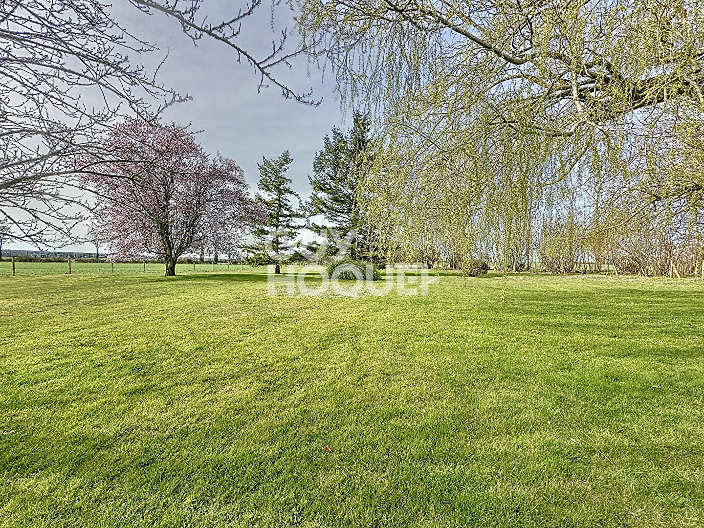 Maison Fontenay Le Pesnel 5 pièce(s) 250 m2