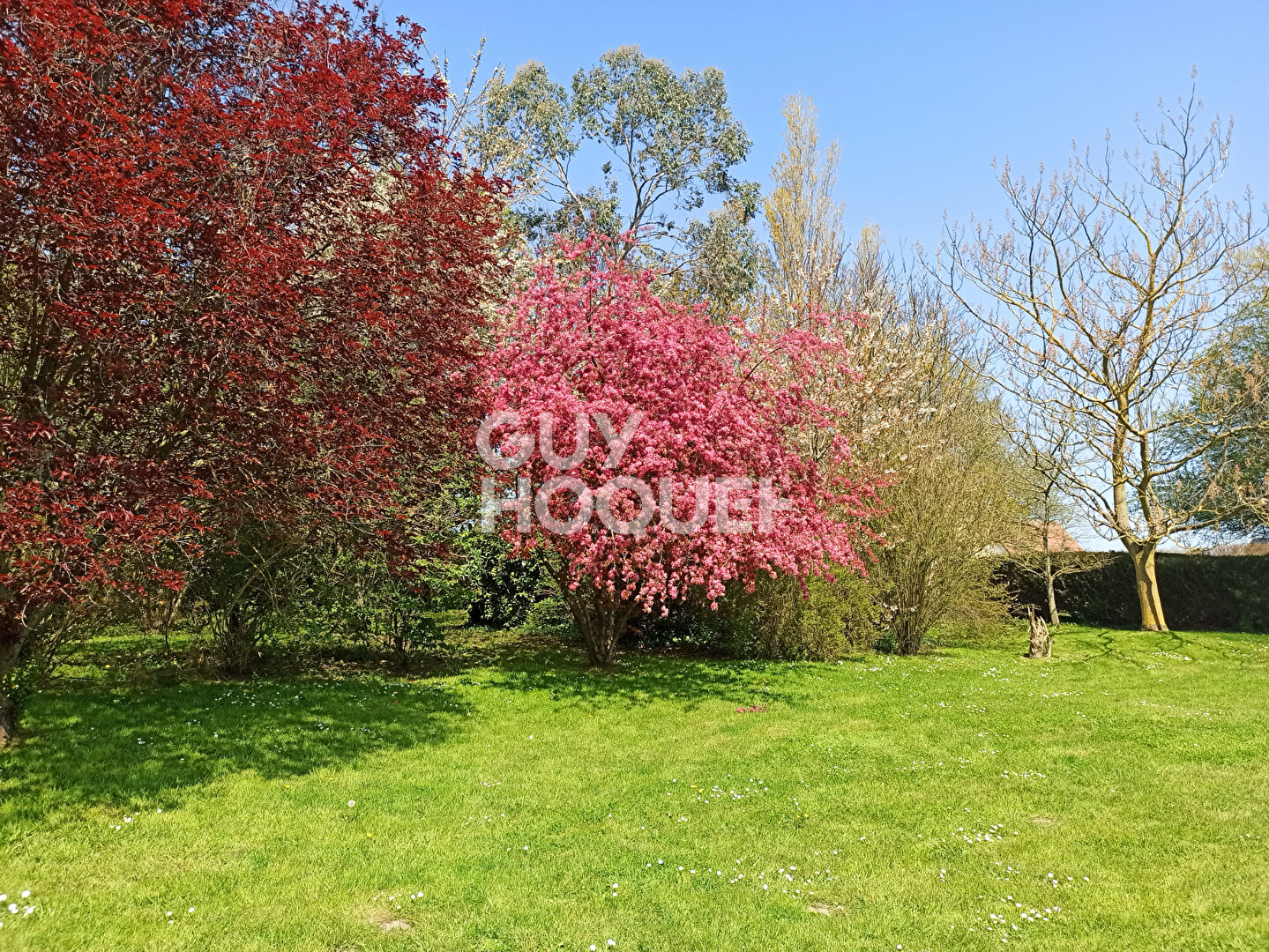 Maison 9 pièces 238 m2