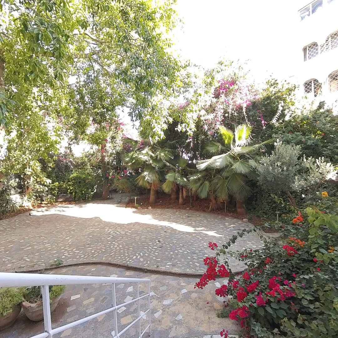 Local commercial Casablanca 555 m2