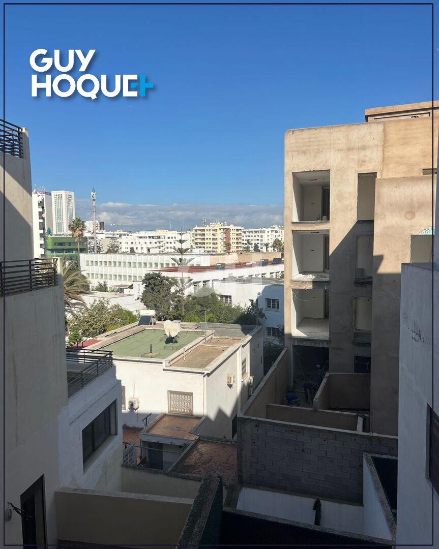 Studio  vide palmier