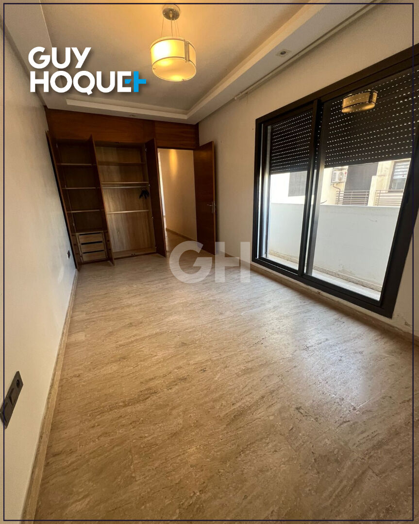 Studio  vide palmier